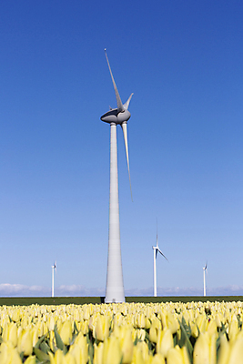 포토 JPG 해외이미지 주간 자연 하늘 사람없음 야외 봄 풍력에너지 해외포토 자연요소 계절 그린에너지 생태계 파일형식 이미지허브