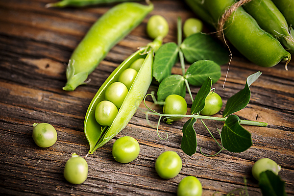 포토 JPG 해외이미지 실내 근접촬영 사람없음 완두콩 꼬투리 해외포토 뷰포인트 콩 내부 파일형식 이미지허브