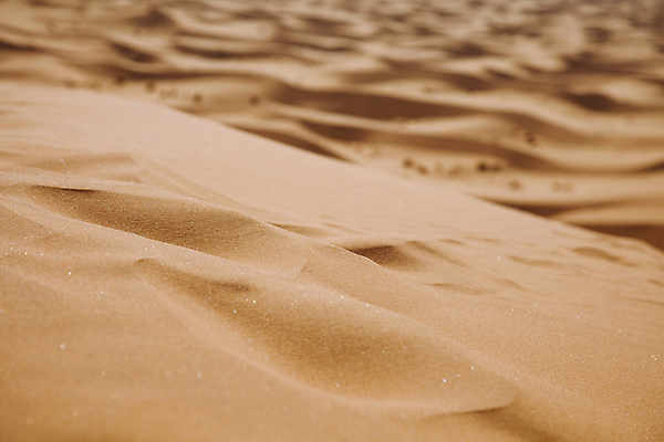 포토 JPG 해외이미지 주간 모래 근접촬영 사람없음 야외 아웃포커스 갈색 사막 해외포토 자연요소 뷰포인트 컬러 촬영기법 파일형식 이미지허브