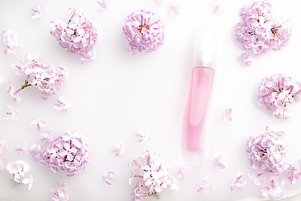 포토 JPG 해외이미지 꽃잎 실내 사람없음 화장품 향수 흰배경 라일락 향수병 목업 브랜딩 해외포토 꽃 백그라운드 내부 뷰티 흰색 병_담는 파일형식 이미지허브