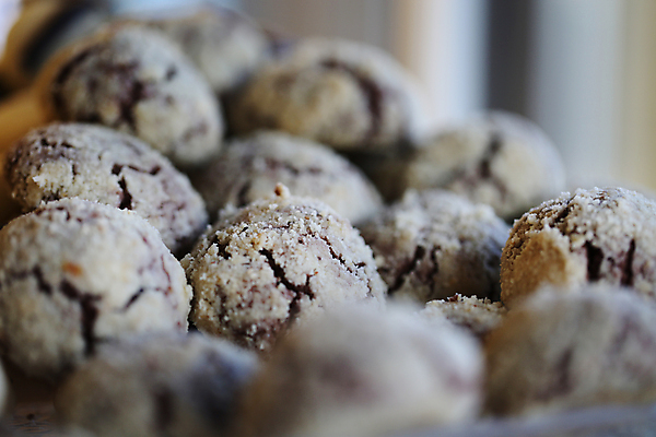 포토 JPG 해외이미지 쟁반 사람없음 쿠키 달콤 매움 반죽 부드러움 짠맛 초식 페스츄리 개암 해외포토 열매 빵 디저트 감각 맛 파일형식 이미지허브