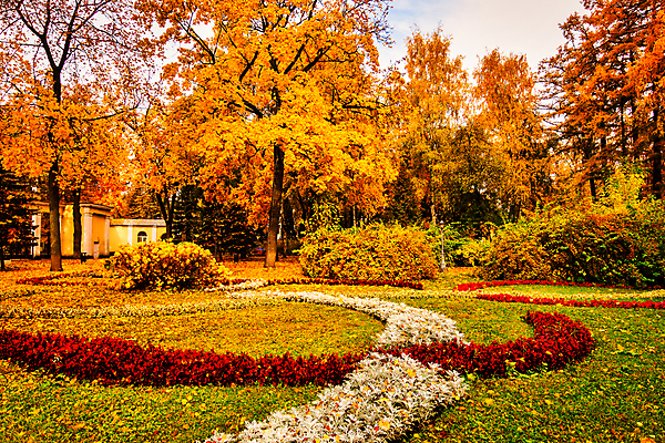 포토 JPG 해외이미지 주간 공원 단풍 낙엽 단풍나무 사람없음 야외 주황색 화단 해외포토 자연요소 나무 공공시설 컬러 잎 파일형식 이미지허브