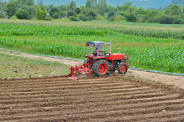 포토 JPG 해외이미지 계절 산업 아시아 백그라운드 밭 농업 태국 자연 조류 씨앗 사람 사람없음 야외 빨간색 초록색 파란색 농작물 농장 농경지 갈색 기계 흙 봄 장비 시골 업무 농부 땅 먼지 트랙터 밭일 원예사 쟁기 해외포토 식물 동물 직업 나라 컬러 작업 농기계 생태계 특수차량 파일형식 이미지허브
