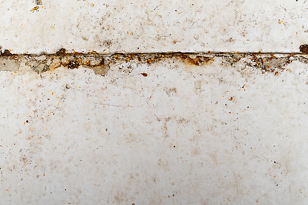 포토 JPG 해외이미지 디자인 선 모래 벽 백그라운드 잎 패턴 건축양식 표면 날씨 추상 바닥 미술 사람없음 갈색 검은색 페인트 손상 회색 수확 흰색 시골 얼룩 거친 균열 닫기 매끈함 묘사 질감 복고 시멘트 먼지 내추럴 노출 그런지 땅바닥 옛날 콘크리트 해외포토 식물 건축 컬러 컨셉 무늬 농업 모션 문화예술 감각 파일형식 이미지허브