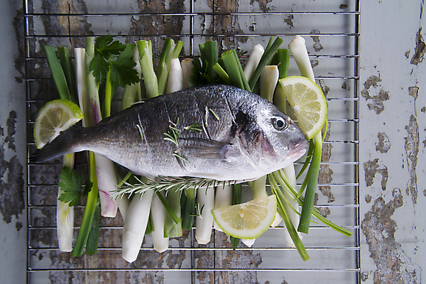 포토 JPG 해외이미지 회색배경 실내 사람없음 그릴 날것 도미 라임 파 로즈메리 나무배경 해외포토 백그라운드 채소 과일 주방용품 어류 내부 회색 허브 파일형식 이미지허브