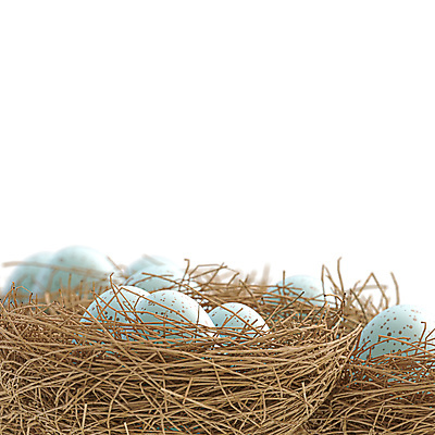 포토 JPG 해외이미지 나무 동물 디자인 계절 야생동물 백그라운드 일러스트 자연 조류 휴가 부활절 주택 사람없음 갈색 계란 봄 껍질 흰색 둥지 심볼 오브젝트 만들기 밀짚 내추럴 고립 목업 해외포토 식물 기념일 컬러 모션 건물 알 짚 생태계 파일형식 이미지허브