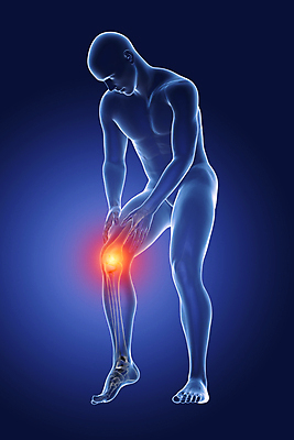 포토 JPG 해외이미지 남자 스포츠 과학 신체 일러스트 해부 뼈 골격 건강 사람 사람없음 그래픽 파란색 운동 약 3D 고통 의사 마사지 질병 상처 사건 관절염 근육질 무릎 외과 테라피 달리기선수 돌봄 부담 염증 치유 해외포토 감정 컬러 의학 모션 근육 병원 신체부위 뷰티 의료진 몸매 디지털합성 육상선수 파일형식 이미지허브