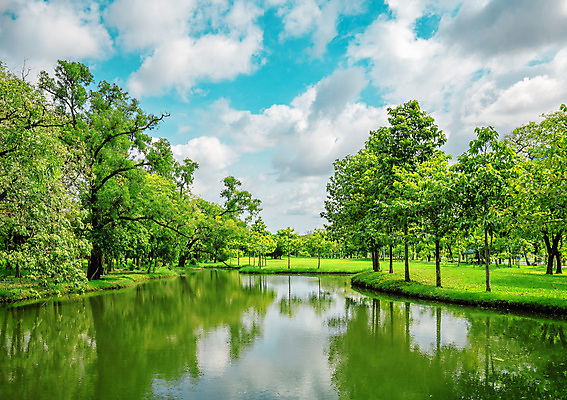 포토 JPG 해외이미지 나무 식물 계절 공원 호수 백그라운드 밭 자연 하늘 휴식 잔디 사람없음 야외 초록색 물 파란색 빛 강 햇빛 반사 환경 정원 맑음 침묵 봄 연못 숲 땅 내추럴 오존 해외포토 자연요소 공공시설 컬러 컨셉 농업 날씨 태양 소리 생태계 파일형식 이미지허브