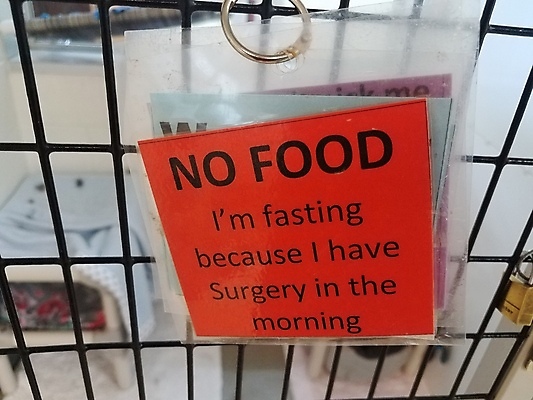 포토 JPG 해외이미지 동물 음식 오렌지 아침 사람없음 꼬리표 금속 금지 사인 새장 외과 단식 해외포토 주간 과일 의학 재질 병원 라벨 케이지 파일형식 이미지허브