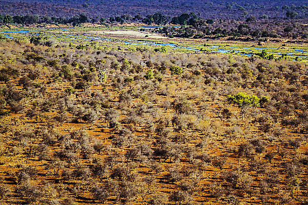 포토 JPG 해외이미지 아프리카 자연 건조 파노라마 국립공원 사람없음 가로 관광지 보호 강가 사파리 남아프리카 보츠와나 보호구역 사바나 해외포토 공원 나라 여행 컨셉 촬영기법 강 생태계 구역 파일형식 이미지허브