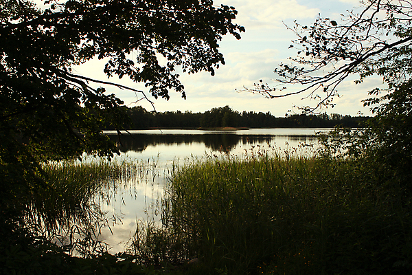 포토 JPG 해외이미지 나무 식물 계절 공원 유럽 스포츠 여행 잎 밭 자연 놀이 하늘 건강 파노라마 잔디 사람없음 야외 초록색 햇빛 태양 뷰티 환경 정원 침묵 봄 성장 보호 그늘 땅 심플 조경 문학 장면 지역 넘어짐 땅바닥 라트비아 웅장함 해외포토 자연요소 공공시설 나라 컬러 컨셉 농업 모션 바닥 촬영기법 북유럽 소리 생태계 파일형식 이미지허브