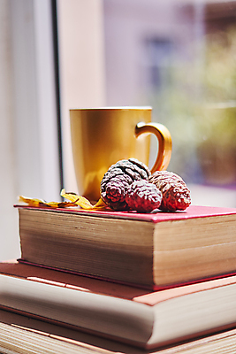 포토 JPG 해외이미지 라이프스타일 계절 교육 커피 음료 백그라운드 단풍 잎 오렌지 창문 유리 탁자 아침 휴식 주택 실내 사람없음 책 컵 독서 햇빛 갈색 맑음 카페 머그컵 추위 수확 시골 아침식사 커피잔 9월 읽기 주말 솔방울 정물화 안락 해외포토 주간 식물 식기 컬러 가구 컨셉 농업 과일 모션 재질 날씨 잔 내부 건물 생활 태양 상점 식사 날짜 그림 파일형식 이미지허브