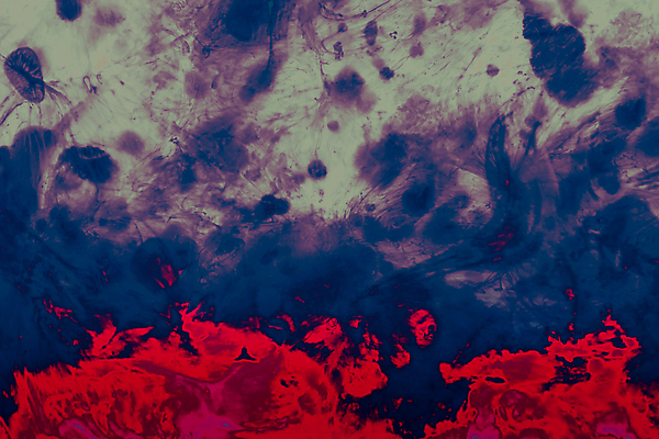 포토 JPG 해외이미지 백그라운드 사람없음 컬러풀 페인트 질감 유화 해외포토 컬러 미술 파일형식 이미지허브