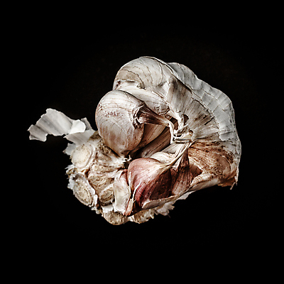 포토 JPG 해외이미지 디자인 음식 백그라운드 채소 재료 전구 부분 건강 마늘 사람없음 빨간색 머리 검은색 흰색 신선 조미료 맛 향신료 유기농 날것 패키지 고립 엘리먼트 해외포토 웰빙 컬러 컨셉 신체부위 향미료 파일형식 이미지허브