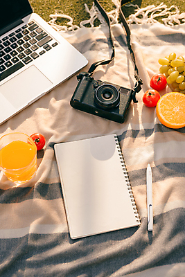 포토 JPG 해외이미지 주간 토마토 오렌지 사람없음 야외 노트북 소풍 볼펜 카메라 오렌지주스 돗자리 청포도 스프링노트 해외포토 자연요소 채소 과일 포도 전자제품 야외활동 펜 공책 과일주스 파일형식 이미지허브