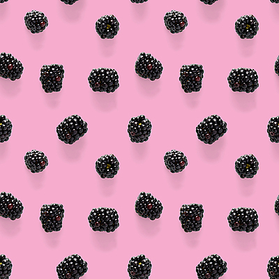 포토 JPG 해외이미지 패턴 사람없음 블랙베리 분홍색배경 해외포토 분홍색 백그라운드 무늬 과일 파일형식 이미지허브