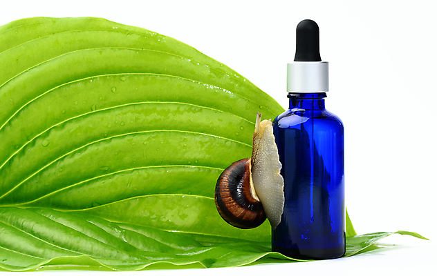 포토 JPG 해외이미지 잎 실내 사람없음 화장품 흰배경 공병 붙이기 앰플 해외포토 식물 백그라운드 모션 내부 뷰티 흰색 병_담는 파일형식 이미지허브