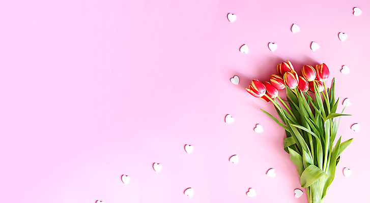 포토 JPG 해외이미지 분홍색 실내 사람없음 튤립 하트 카피스페이스 해외포토 모양 꽃 컬러 내부 공백 파일형식 이미지허브