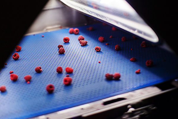 포토 JPG 해외이미지 과일 공장 사람없음 냉동 기계 제조 산딸기 식품공장 냉동식품 해외포토 음식 공업 파일형식 이미지허브