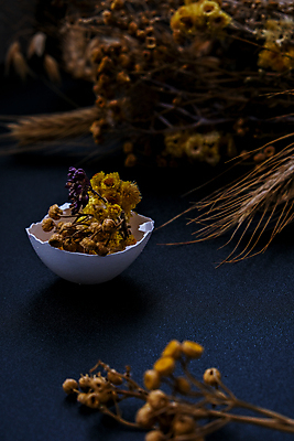 포토 JPG 해외이미지 실내 사람없음 아웃포커스 어둠 소프트포커스 계란껍데기 오브젝트 드라이플라워 남색배경 해외포토 꽃 백그라운드 촬영기법 내부 계란 남색 파일형식 이미지허브