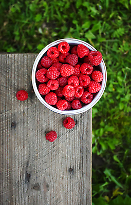 포토 JPG 해외이미지 식물 열매 음식 백그라운드 잎 다이어트 과일 재료 자연 디저트 건강 사람없음 컵 가로 빨간색 컬러풀 바구니 정원 활발 수확 성장 신선 달콤 맛 잼 질감 날것 산딸기 내추럴 숙성 채식주의자 많음 해외포토 식기 컬러 컨셉 농업 소스_음식 생태계 채식 파일형식 이미지허브