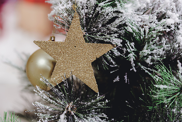 포토 JPG 해외이미지 나무 디자인 계절 행복 별 백그라운드 크리스마스 겨울 패턴 텍스트 공 탁자 추상 휴가 새로움 새해 아이디어 프레임 선물 미술 사람없음 목재 장식 가로 빨간색 빛 파티 우주 축제 방 수확 축하 눈송이 정상 소프트포커스 연도 질감 복고 잔치 여의주 국경 해외포토 자연요소 식물 기념일 감정 컬러 가구 컨셉 무늬 농업 재료 문화예술 눈_날씨 촬영기법 이벤트 파일형식 이미지허브