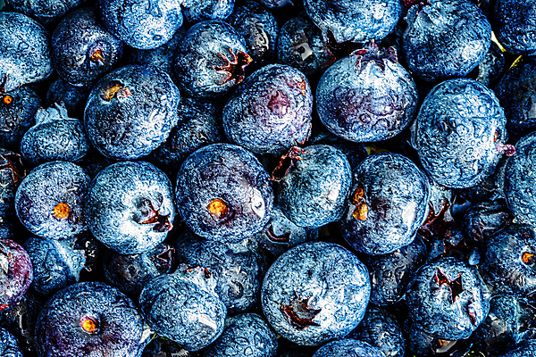 포토 JPG 해외이미지 실내 근접촬영 사람없음 파란색 하이앵글 신선 달콤 가득함 블루베리 해외포토 뷰포인트 컬러 과일 내부 맛 파일형식 이미지허브