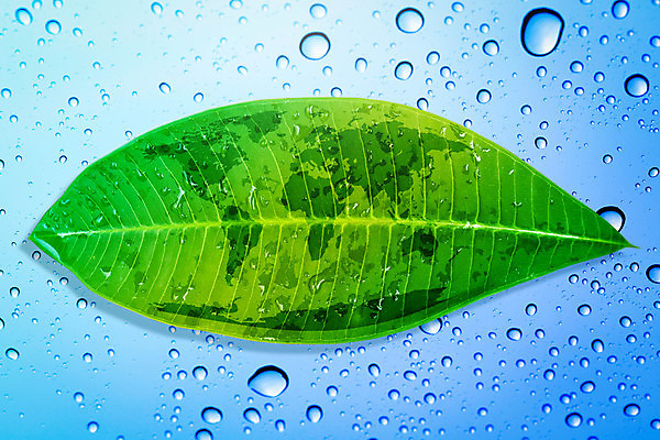 포토 JPG 해외이미지 식물 손 디자인 길 지구 백그라운드 컨셉 잎 지도 일러스트 공장 자연 사람 사람없음 초록색 물 세계 글로벌 펜 지구본 우주 환경 재활용 행성 흰색 공구 신선 도시 떨어짐 허브 심볼 순수 에코 클립 유지 내추럴 개발 돌봄 해외포토 자연요소 컬러 공업 모션 신체부위 필기구 도구 친환경 생태계 파일형식 이미지허브