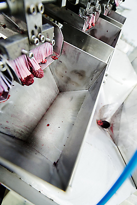 포토 JPG 해외이미지 공장 사람없음 냉동 기계 제조 산딸기 분류 식품공장 냉동식품 해외포토 음식 과일 공업 파일형식 이미지허브