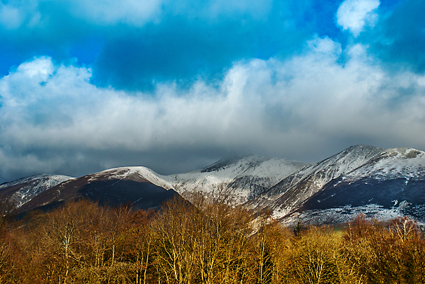 포토 JPG 해외이미지 나무 백그라운드 하늘 산 사람없음 파란색 환경 해외포토 식물 컬러 파일형식 이미지허브