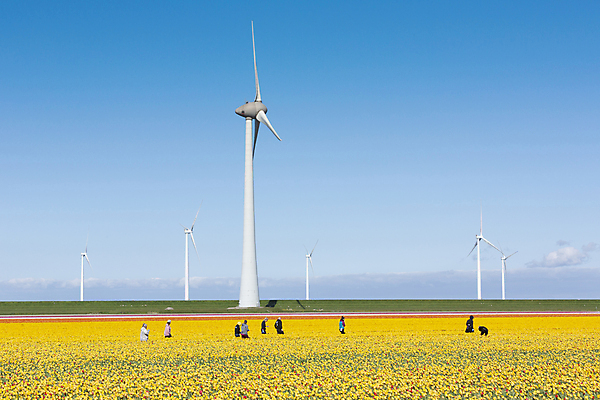 포토 JPG 해외이미지 주간 자연 하늘 사람 풍경 여러명 야외 봄 풍력에너지 해외포토 자연요소 계절 다수 그린에너지 생태계 파일형식 이미지허브