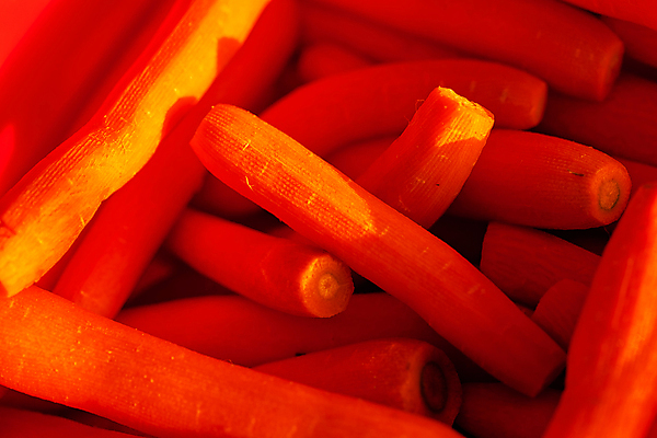 포토 JPG 해외이미지 나무 계절 음식 여행 잎 채소 오렌지 자연 산 사람없음 야외 초록색 빛 햇빛 태양 농장 노란색 환경 당근 낭만 황금 숲 속도 유기농 질감 내추럴 전국 해외포토 자연요소 식물 웰빙 컬러 컨셉 농업 과일 뿌리채소 생태계 파일형식 이미지허브