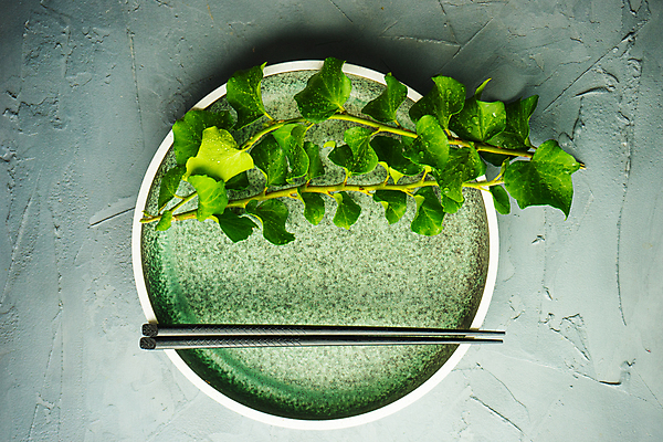 포토 JPG 해외이미지 식물 식기 접시 컨셉 잎 젓가락 탁자 아이디어 한국 동양인 사람없음 목재 초록색 여름 세트 수건 주방 일본 저녁식사 중국 어둠 수확 시골 은색 냅킨 베트남 아이비 아일랜드 설정 옛날 카피스페이스 해외포토 나무 계절 유럽 아시아 컬러 가구 농업 재료 수저 인종 위생용품 식사 동남아시아 공백 파일형식 이미지허브