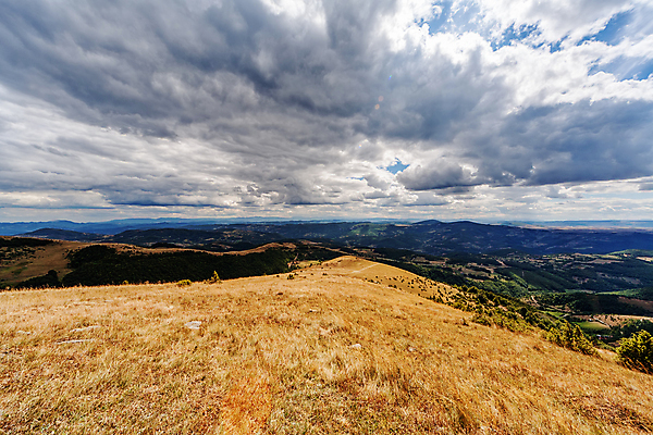 포토 JPG 해외이미지 나무 계절 공원 여행 오렌지 자연 하늘 산 사람없음 야외 초록색 파란색 빛 햇빛 태양 우주 일출 환경 일몰 봄 황금 숲 언덕 내추럴 세르비아 전국 해외포토 자연요소 식물 공공시설 컬러 과일 노을 생태계 파일형식 이미지허브