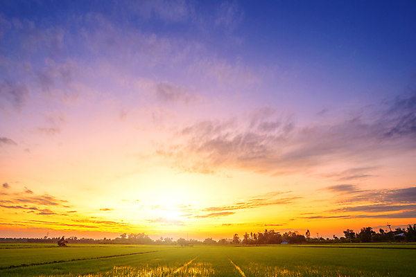 포토 JPG 해외이미지 계절 백그라운드 오렌지 자연 벽지 하늘 아침 날씨 사람없음 야외 파란색 빛 컬러풀 햇빛 태양 뷰티 노란색 평화 우주 일출 맑음 일몰 봄 새벽 자유 시골 분위기 황금 저녁 장면 스카이라인 내추럴 수평선 해외포토 주간 자연요소 컬러 컨셉 과일 노을 야간 생태계 파일형식 이미지허브