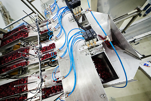 포토 JPG 해외이미지 공장 사람없음 냉동 기계 제조 산딸기 분류 식품공장 냉동식품 해외포토 음식 과일 공업 파일형식 이미지허브