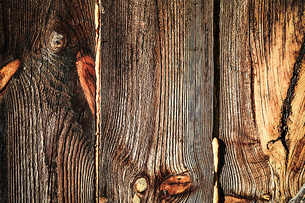 포토 JPG 해외이미지 외관 벽 조각 가구 백그라운드 패턴 자연 탁자 표면 날씨 바닥 프레임 사람없음 목재 장식 울타리 갈색 어둠 수확 골동품 낟알 자르기 목수 타일 책상 질감 복고 목공예 무거움 내추럴 외양간 구식 그런지 수목 옛날 합판 파케트 해외포토 나무 직업 컬러 생활용품 무늬 농업 재료 모션 담장 무게 공예 생태계 파일형식 이미지허브