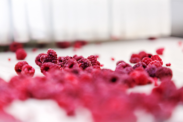 포토 JPG 해외이미지 공장 사람없음 아웃포커스 냉동 기계 제조 소프트포커스 산딸기 식품공장 냉동식품 해외포토 음식 과일 공업 촬영기법 파일형식 이미지허브