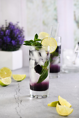 포토 JPG 해외이미지 잔 사람없음 칵테일 과실주 민트 라임 블랙베리 모히토 브랜디 해외포토 식기 과일 주류 허브 파일형식 이미지허브