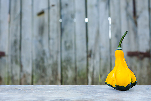 포토 JPG 해외이미지 식물 접시 음식 백그라운드 농업 다이어트 채소 오렌지 재료 자연 탁자 호박 파슬리 건강 요리 사람없음 목재 가로 초록색 컬러풀 노란색 식사 가을 신선 닫기 먹기 유기농 날것 박 스쿼시 내추럴 점심식사 고립 숙성 주키니 채식주의자 비건 해외포토 나무 식기 웰빙 계절 산업 스포츠 컬러 가구 과일 모션 구기 생태계 채식 파일형식 이미지허브