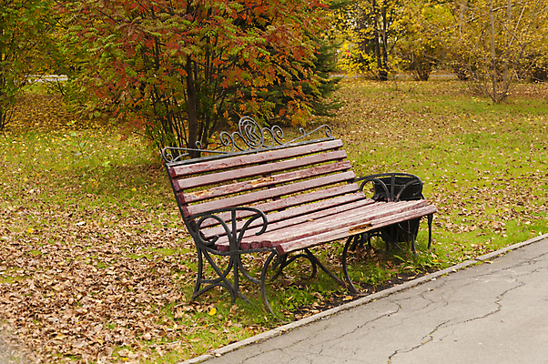 포토 JPG 해외이미지 나무 식물 계절 공원 길 백그라운드 잎 벤치 의자 오렌지 자연 사람없음 야외 목재 초록색 갈색 노란색 평화 정원 침묵 나뭇가지 황금 숲 오솔길 9월 즐거움 싱글 장면 10월 해외포토 공공시설 감정 컬러 가구 컨셉 과일 재료 소리 날짜 생태계 파일형식 이미지허브
