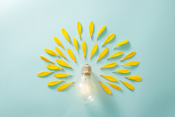 포토 JPG 해외이미지 꽃잎 꽃 전구 아이디어 실내 사람없음 오브젝트 파란배경 해외포토 식물 백그라운드 컨셉 내부 파란색 파일형식 이미지허브