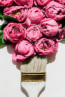 포토 JPG 해외이미지 꽃 잎 사람없음 흰배경 페인트붓 해외포토 식물 백그라운드 흰색 붓 파일형식 이미지허브