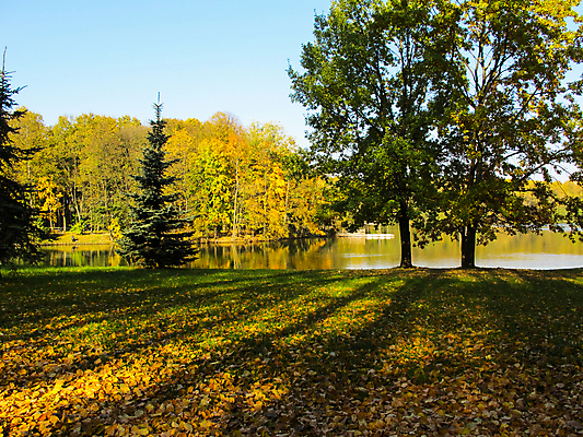 포토 JPG 해외이미지 나무 식물 계절 공원 호수 백그라운드 오렌지 자연 하늘 그림자 사람없음 야외 초록색 빛 컬러풀 노란색 환경 맑음 황금 숲 내추럴 해외포토 공공시설 컬러 과일 날씨 생태계 파일형식 이미지허브