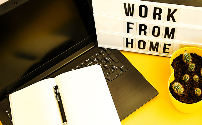 포토 JPG 해외이미지 화분 선인장 실내 사람없음 노트북 공책 재택근무 노란배경 라이트박스 선인장화분 해외포토 식물 백그라운드 비즈니스 문구용품 내부 전자제품 노란색 파일형식 이미지허브