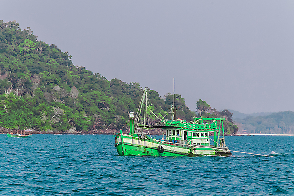 포토 JPG 해외이미지 나무 바다 섬 여행 사람없음 야외 초록색 파란색 햇빛 평화 어선 캄보디아 파라다이스 해외포토 식물 아시아 컬러 컨셉 배_교통 태양 파일형식 이미지허브
