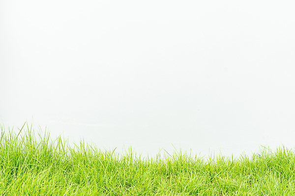 포토 JPG 해외이미지 지구 벽 백그라운드 잎 패턴 밭 자연 표면 추상 프레임 잔디 사람없음 야외 장식 가로 초록색 울타리 우주 환경 정원 수확 성장 바위 흰색 작음 관목 묘사 오브젝트 질감 고립 옛날 줄서기 콘크리트 카피스페이스 국경 해외포토 나무 식물 컬러 무늬 농업 모션 담장 공백 돌_바위 크기 생태계 파일형식 이미지허브