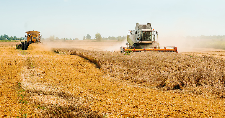 포토 JPG 해외이미지 계절 산업 밭 농업 자연 건조 옥수수 씨앗 사람없음 농작물 농경지 노란색 기계 모임 수확 시골 못 황금 농부 결합 낟알 땅 자르기 시리얼 밀 수집 유기농 보리 먼지 짐차 밀짚 밭일 숙성 호밀 해외포토 식물 직업 웰빙 음식 컬러 모션 자동차 곡류 농장 공구 짚 생태계 파일형식 이미지허브