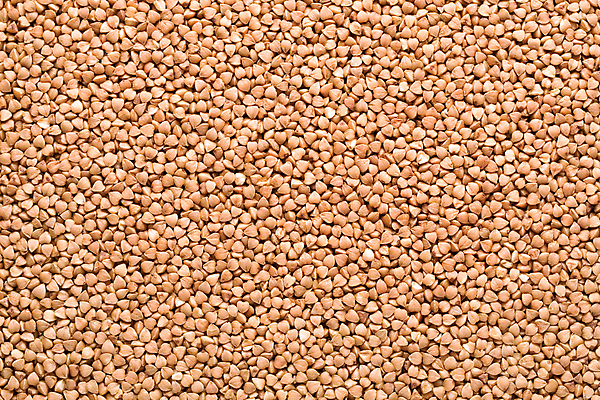 포토 JPG 해외이미지 식물 전통 음식 백그라운드 다이어트 재료 건조 건강 옥수수 요리 씨앗 사람없음 농작물 갈색 노란색 주방 식사 저녁식사 수확 흰색 거친 맛 아침식사 낟알 시리얼 밀 먹기 메밀 허브 언덕 유기농 질감 알맹이 칼로리 흙더미 내추럴 고립 단백질 식용 채식주의자 핵심 해외포토 웰빙 컬러 컨셉 농업 식재료 모션 곡류 흙 채식 영양소 파일형식 더미 이미지허브