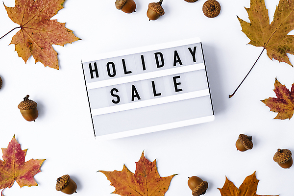 포토 JPG 해외이미지 단풍 낙엽 실내 사람없음 세일 흰배경 도토리 라이트박스 홀리데이 해외포토 백그라운드 잎 휴가 내부 견과류 흰색 파일형식 이미지허브